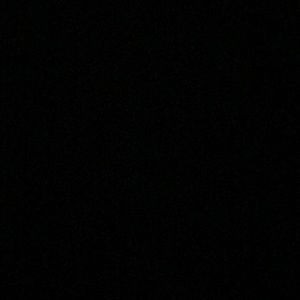 Meet your Posher, Audrey